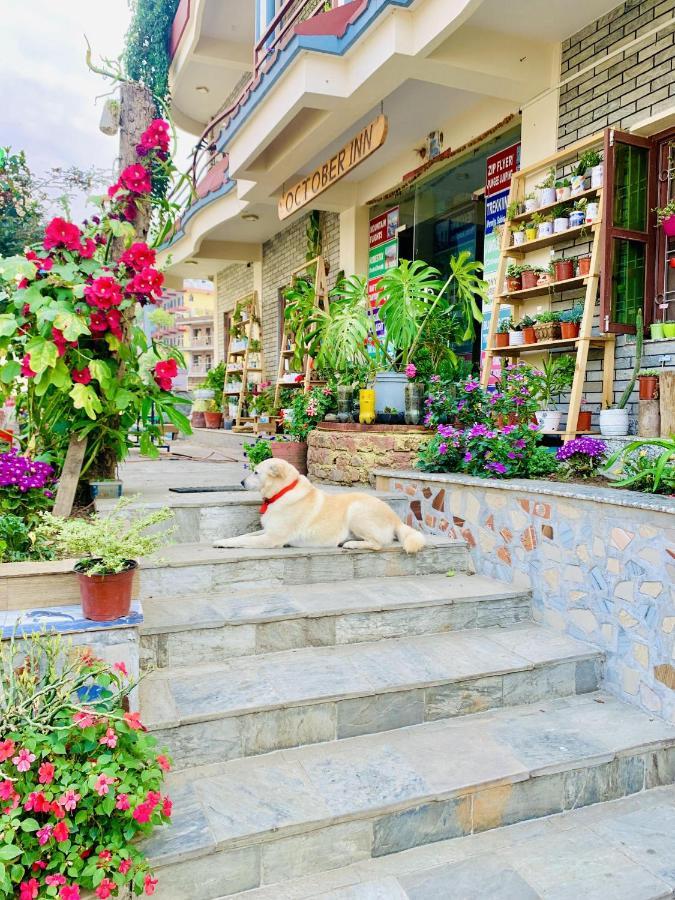 Hotel October Inn Pokhara Dış mekan fotoğraf